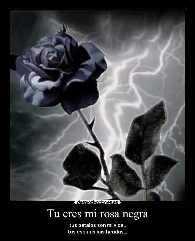 Tu eres mi rosa negra | Desmotivaciones