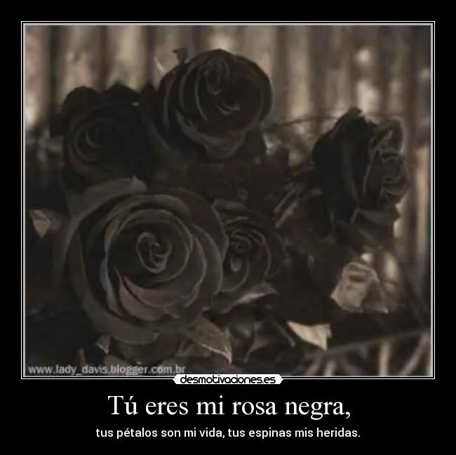 Tú eres mi rosa negra, | Desmotivaciones