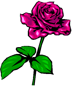 La Rosa Pretenciosa