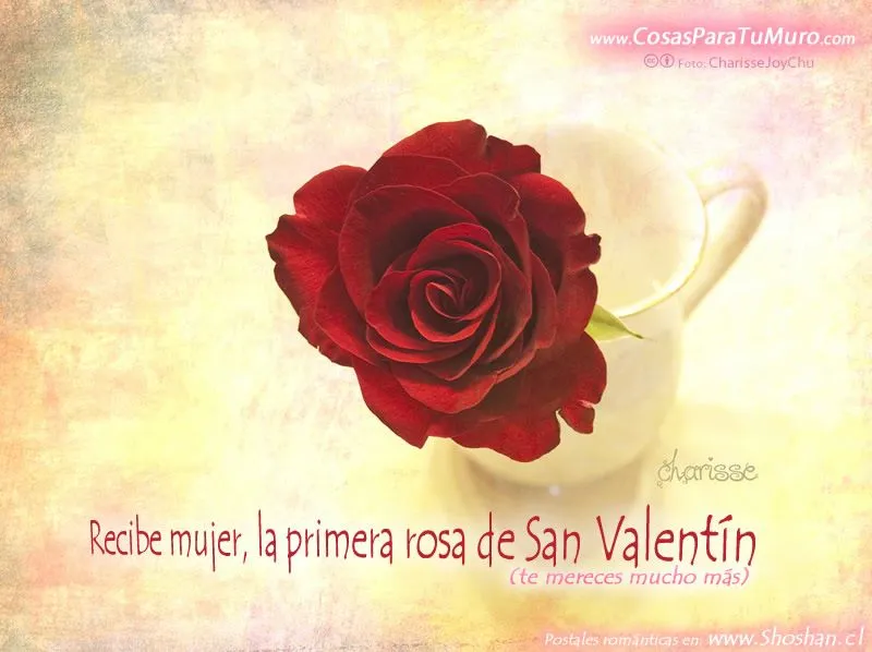 rosa_de_san_valentin-other.jpg