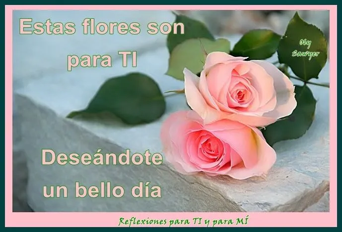 Reflexiones para TI y para MÍ: * Estas flores son para ti