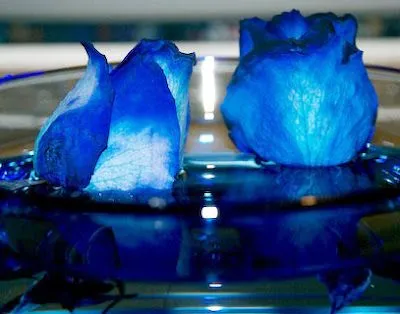 Rosas azules de cristal - Imagui