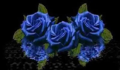 Rosas azules gif - Imagui