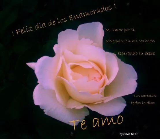 Rosas blancas con frases - Imagui