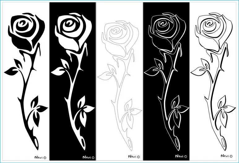 Rosas blanco y negro - Imagui