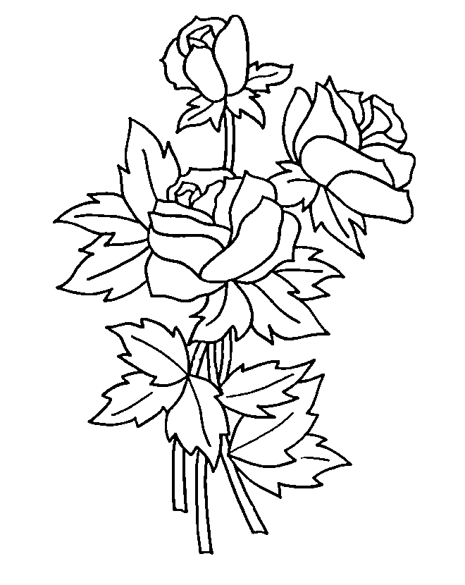 rosas bonitas Colouring Pages