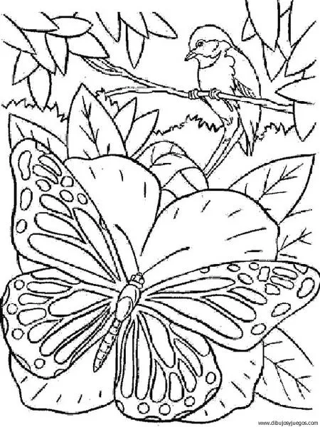 dibujo-de-mariposa-099 | Dibujos y juegos, para pintar y colorear