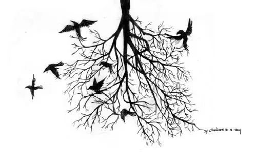 Rosas Dibujos Y Enredaderas | Tattoo Design Bild