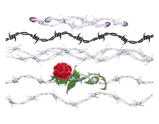 ROSAS Y ESPINAS – EL INTERCAMBIADOR 2000