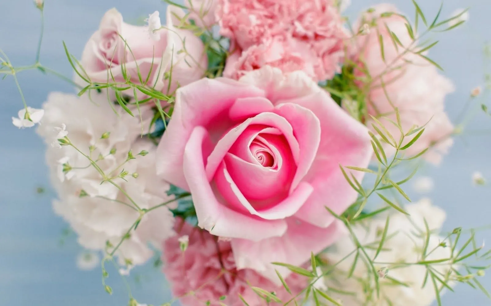 Rosas, hortensias, girasoles | Fotos Bonitas de Amor | Imágenes ...