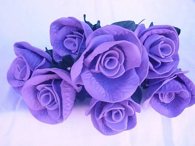 Rosas Lilas | Flickr - Photo Sharing!