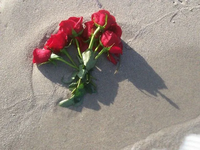 Rosas en el mar... | Flickr - Photo Sharing!