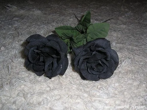 Rosas Negras « Frases dispersas