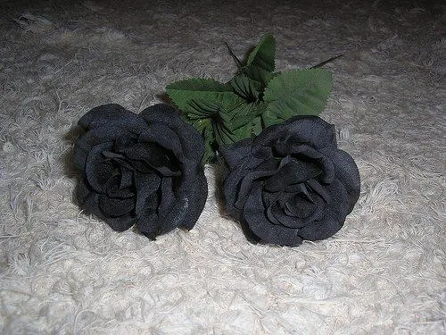 Rosas negras goticas - Imagui