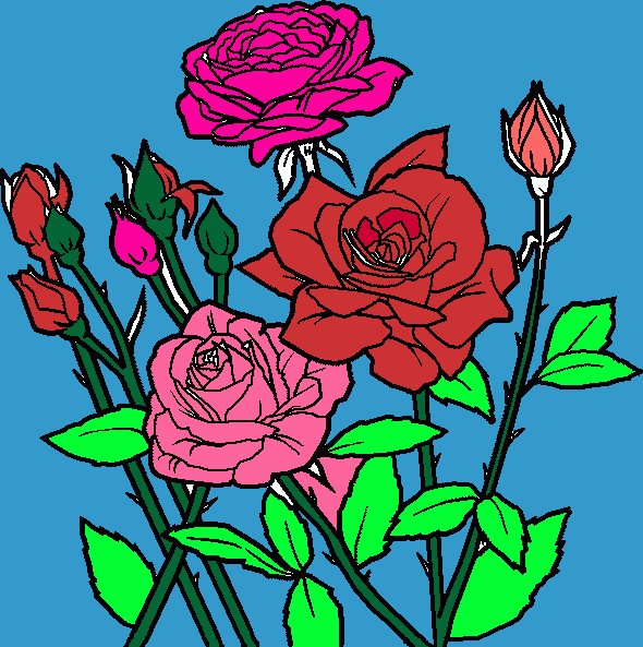 rosas rojas para colorear, rosas rojas para imprimir