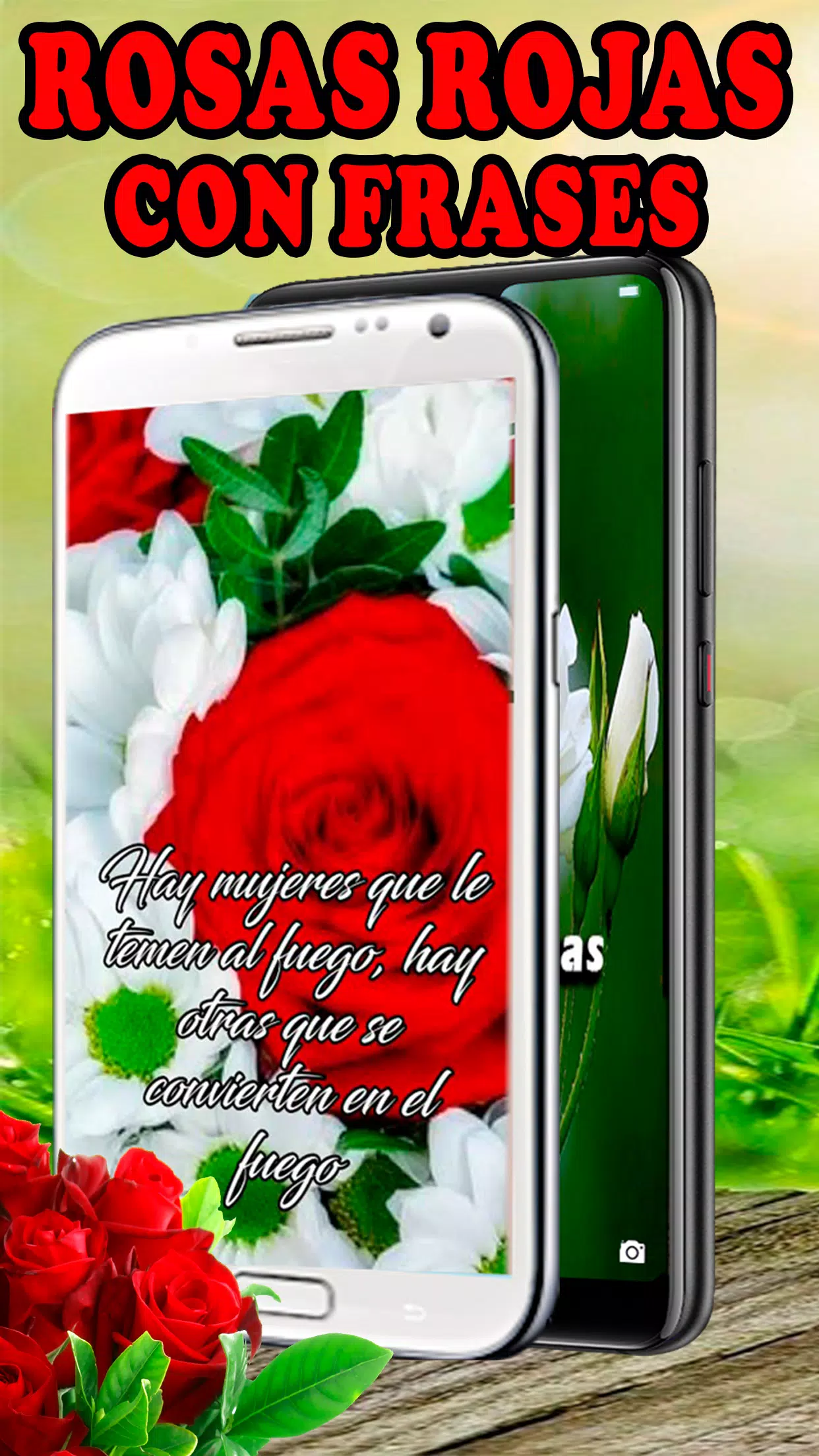 Rosas Rojas Hermosas Flores APK for Android Download