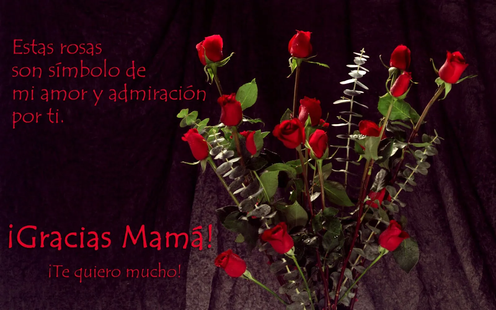 Rosas rojas con mensaje Día de las Madres (10 de mayo)