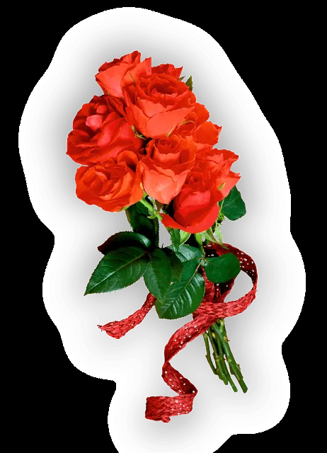 Rosas png gratis - Imagui