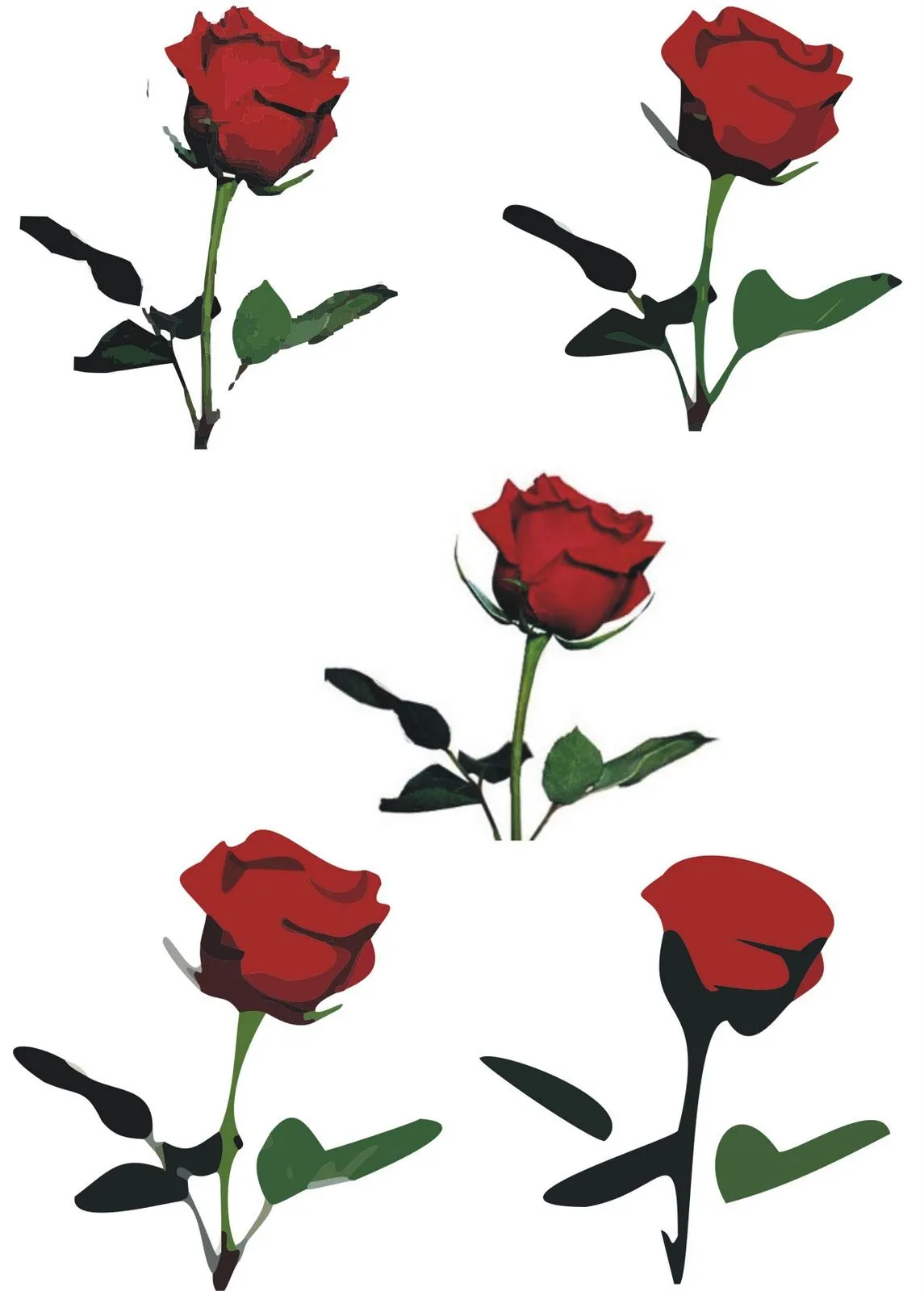 Rosas vectorizadas - Imagui