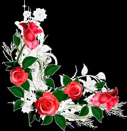 Rosas vermelhas em arranjos | imagens de flores