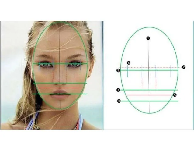 Rostro humano de frente y perfil (TPN1 y TPN2 )