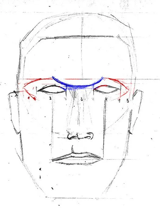 EL ROSTRO HUMANO- VISTA FRONTAL | CARBON ENTINTADO