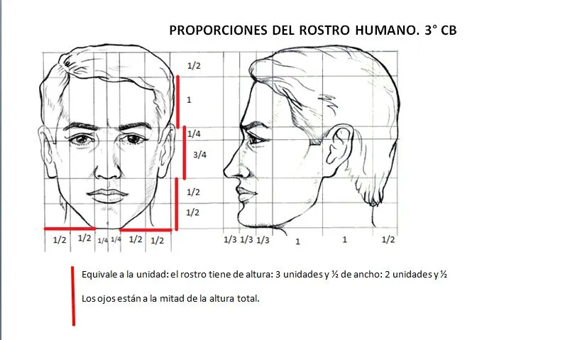 Rostros de frente y de perfil - Imagui