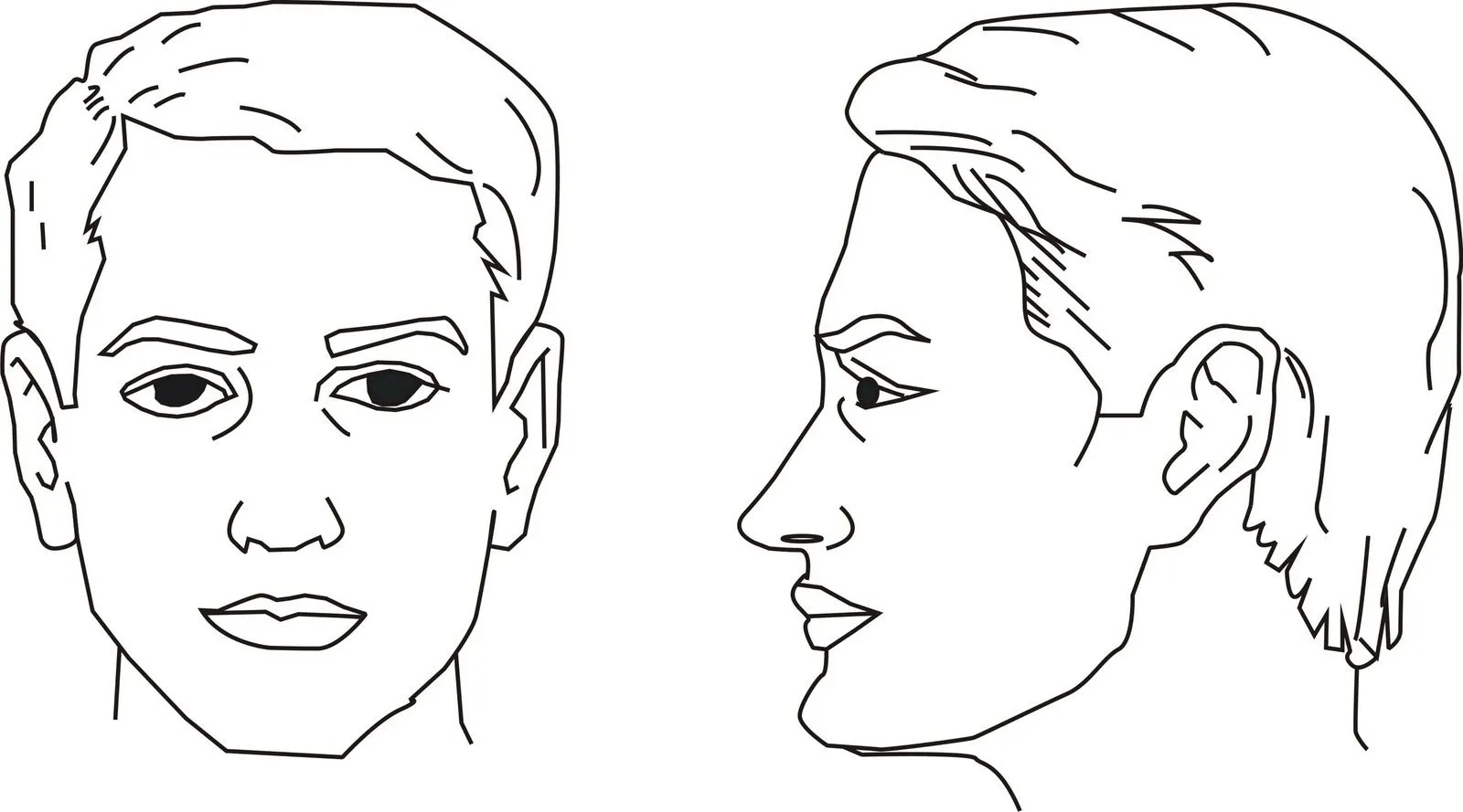 Rostros de frente y de perfil - Imagui