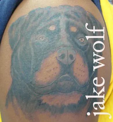 rottweiler dog tattoo done by jake wolf orlando florida | Flickr ...