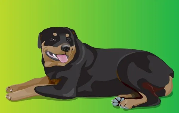 Rottweiler 1 imágenes prediseñadas (clip arts), imágenes ...