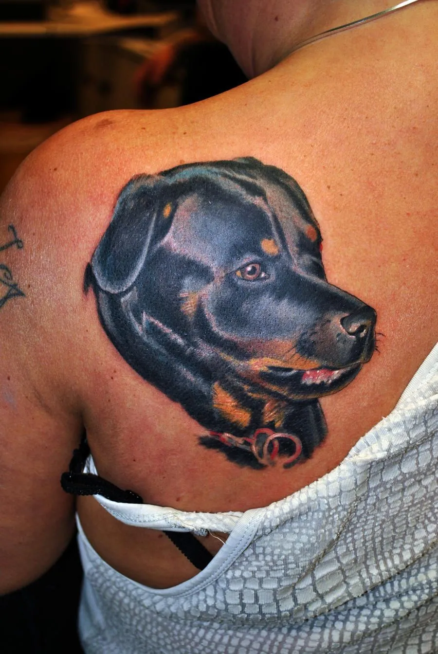 Rottweiler tattoo by gettattoo on DeviantArt