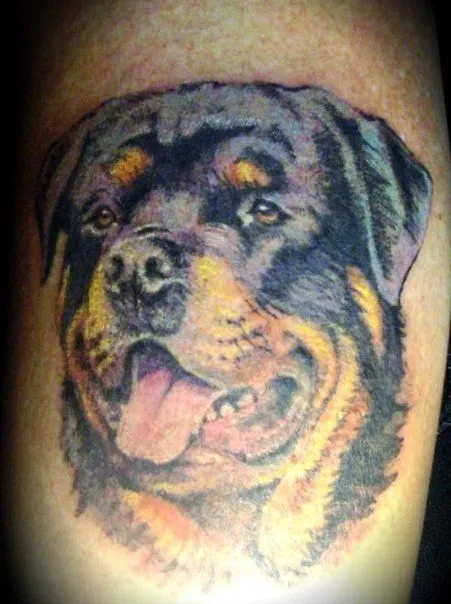 Tattoo Pictures of rottweiler