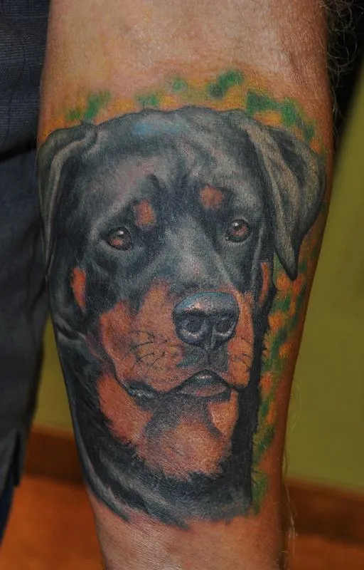 Rottweiler Tattoo : Tattoos :