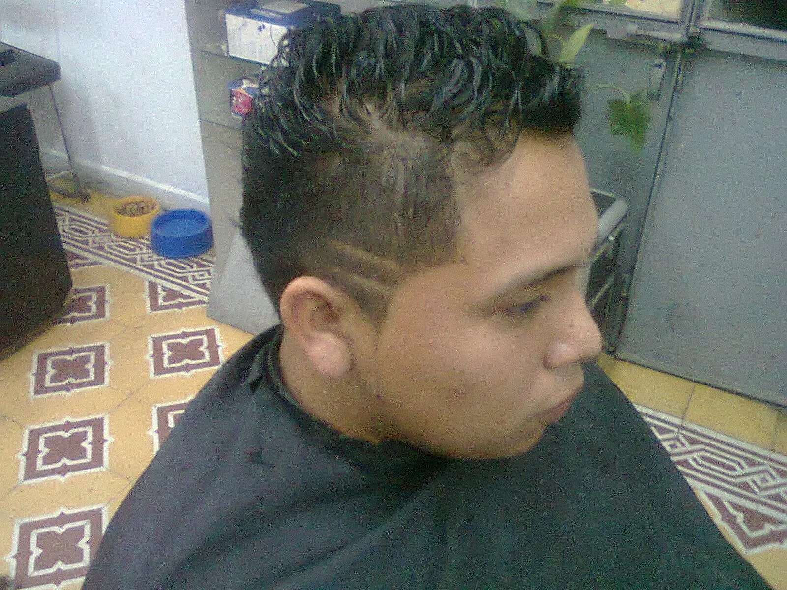 rubens: CORTE DE CABELLO ESTILO MOICANO CON GRECAS