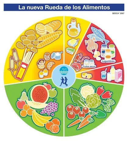 La Rueda de los alimentos