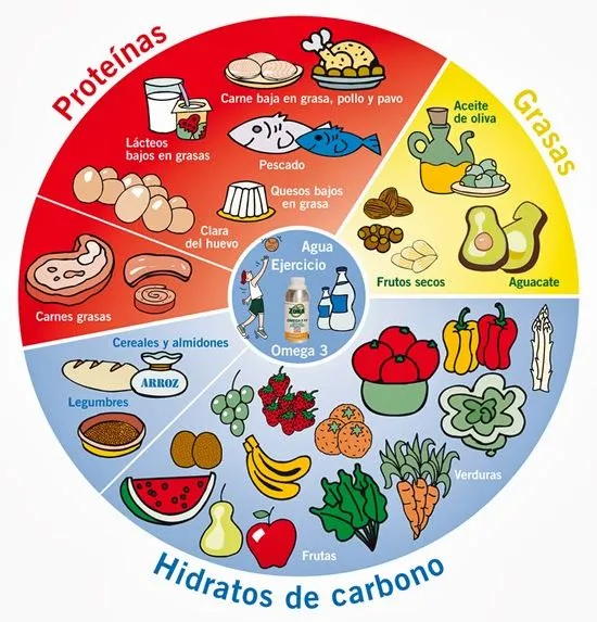 ENTRE TODOS HACEMOS ESCUELA : CONOCIMIENTO DEL MEDIO 3º CICLO ...