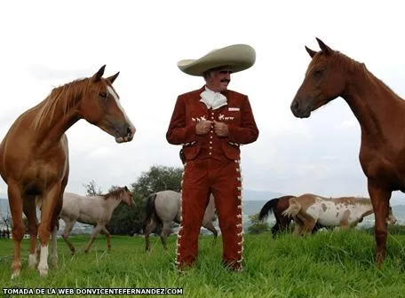 S O L N A C I E N T E N E W S: Vicente Fernández galopará con ...