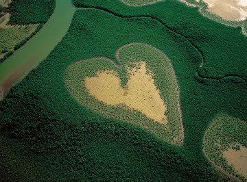 Sabias que....: 9 Corazones Gigantes en la naturaleza