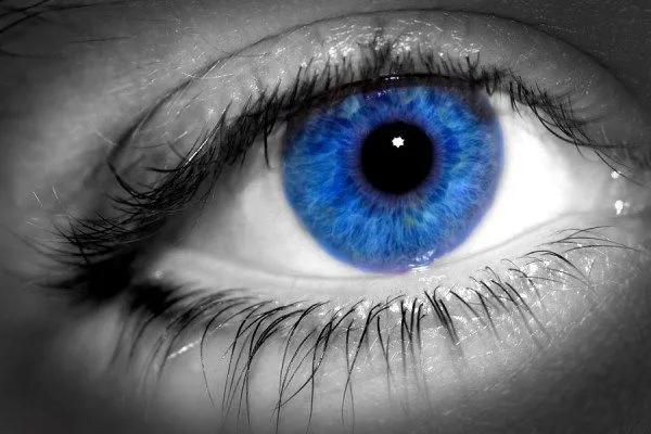 Sabías que?: Las personas de ojos azules aparecieron hace menos de ...