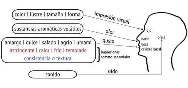 El Sabor, parte I | CreatiVegan.net