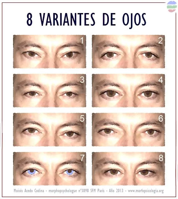 SAIKU-otra vida es posible-: 8 TIPOS DE OJO Y SU SIGNIFICADO