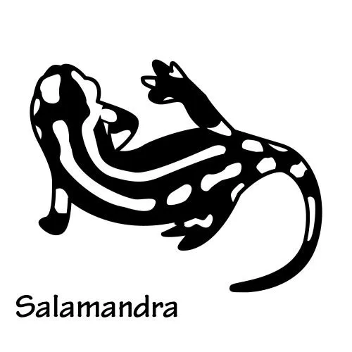 Salamandra para colorear - Imagui