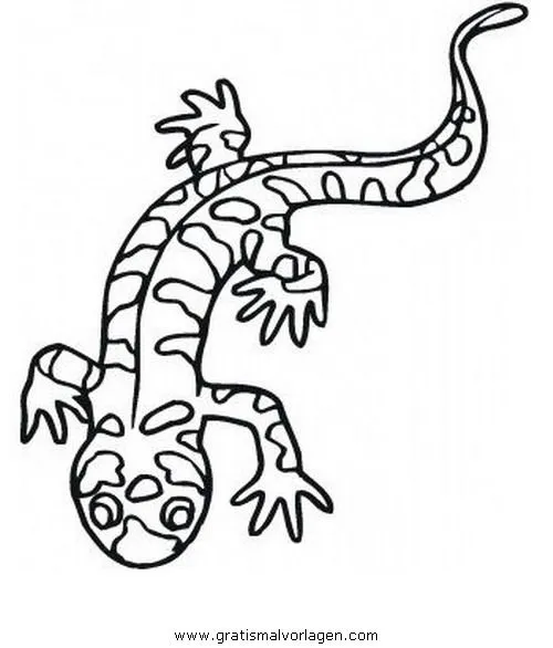 salamandras para colorear Colouring Pages (page 2)