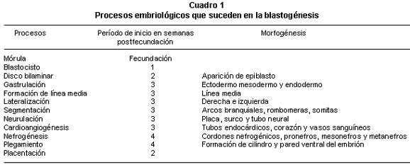 Saldarriaga