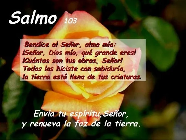 salmo-103-de-pentecostes-8-de- ...