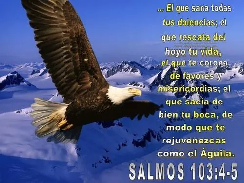 Salmo 103:4-5 | Versículos Bíblicos | Pinterest