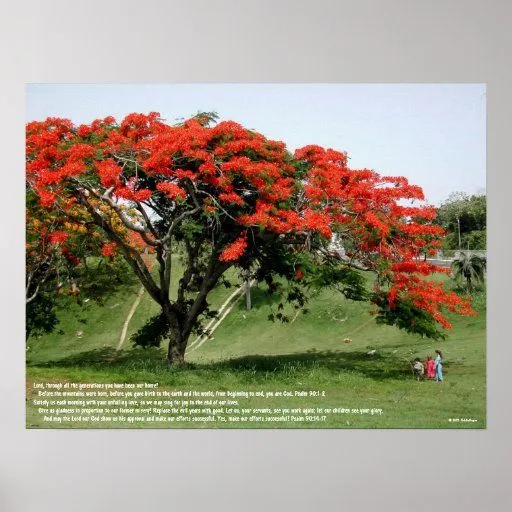 Salmo 90 de Flamboyan Posters de Zazzle.