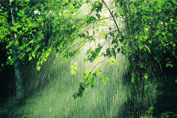 Un Salmo para el Camino: Bendita lluvia