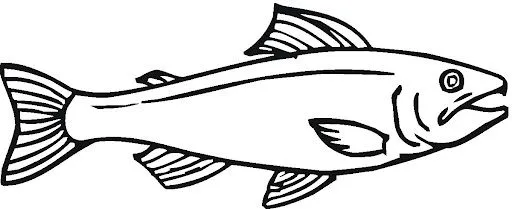 salmon-12-coloring-page.jpg? ...