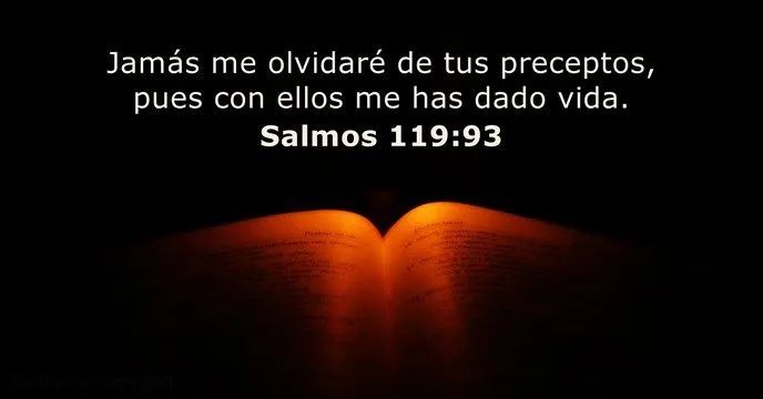 Salmos 119:93 - Versículo de la Biblia del día - DailyVerses.net